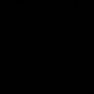 Meet your Posher, Wesley